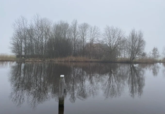 Landschap met waterbespiegeling en bomen als symbool voor systemisch coachen